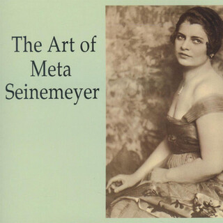 The Art of Meta Seinemeyer