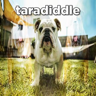 taradiddle