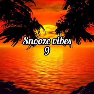 Snooze Vibes 9