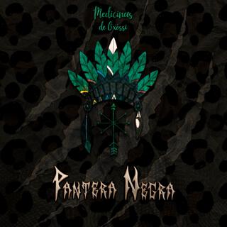 Pantera Negra