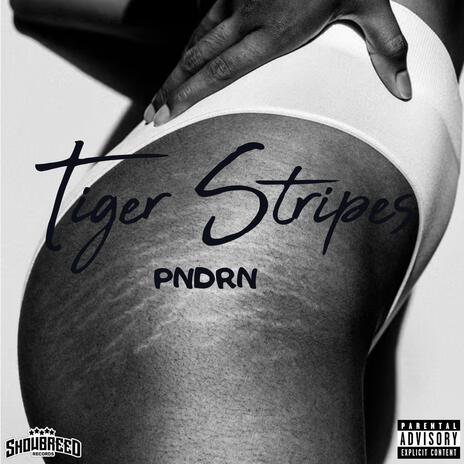 Tiger Stripes | Boomplay Music