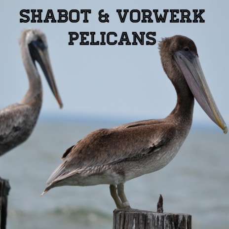 Pelicans ft. Vorwerk | Boomplay Music