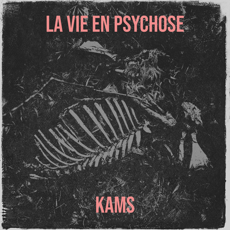 La vie en psychose | Boomplay Music