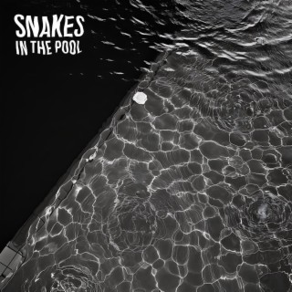 Snakes In The Pool ft. Quadry lyrics | Boomplay Music