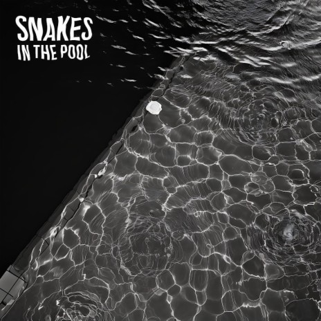 Snakes In The Pool ft. Quadry | Boomplay Music