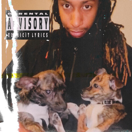 Lil Dog | Boomplay Music