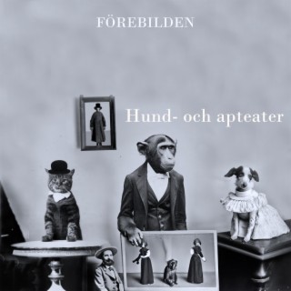 Hund- och apteater