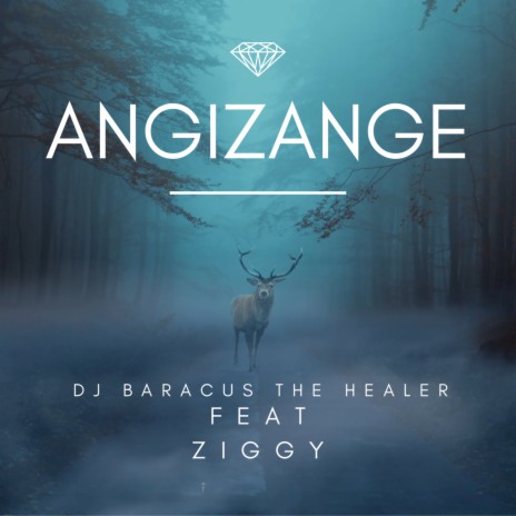 Angizange ft. Ziggy | Boomplay Music