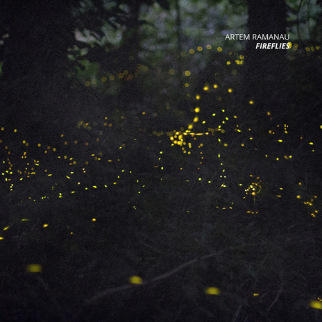 Fireflies | Boomplay Music