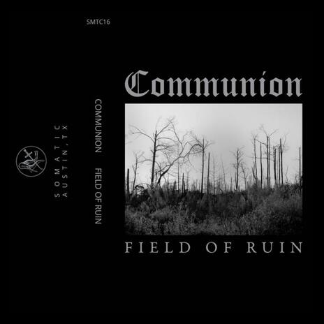 Field of Universal Ruin | Boomplay Music