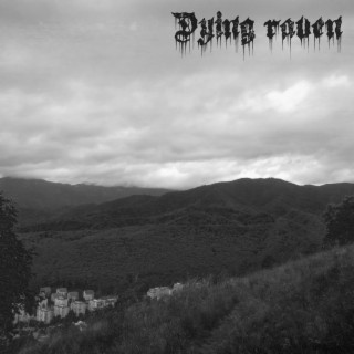 Dying raven
