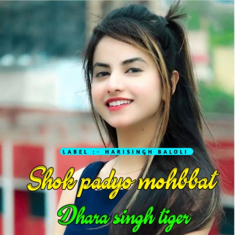 Shok Padyo Mohbbat (Hari Singh baloli) ft. Dhara Singh Tiger