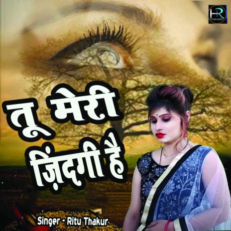 Tu Meri Zindagi Hai (Hindi) | Boomplay Music