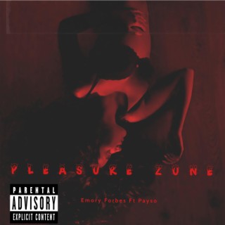 The Pleasure Zone ft. Payso lyrics | Boomplay Music
