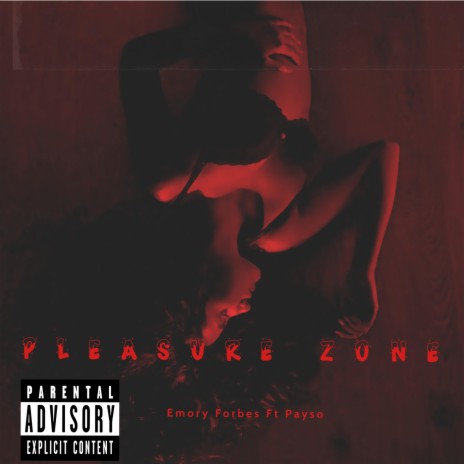 The Pleasure Zone ft. Payso | Boomplay Music