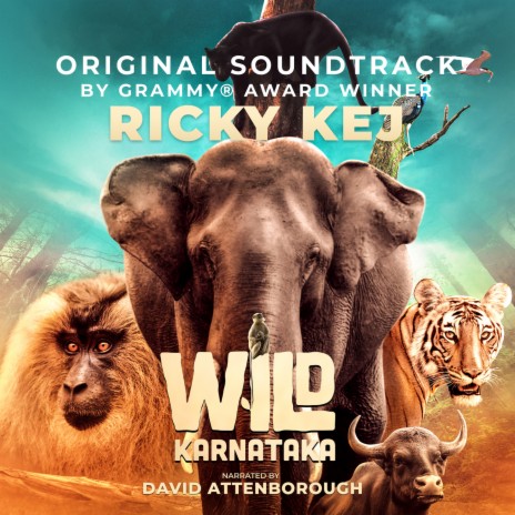 Wild Karnataka ft. David Attenborough | Boomplay Music