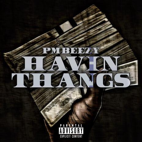 Havin Thangs | Boomplay Music