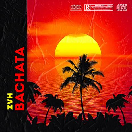 Bachata | Boomplay Music