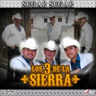 Los 3 De La Sierra