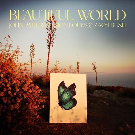 Beautiful World (Reimagined) ft. Sion Louks & Zach Bush | Boomplay Music