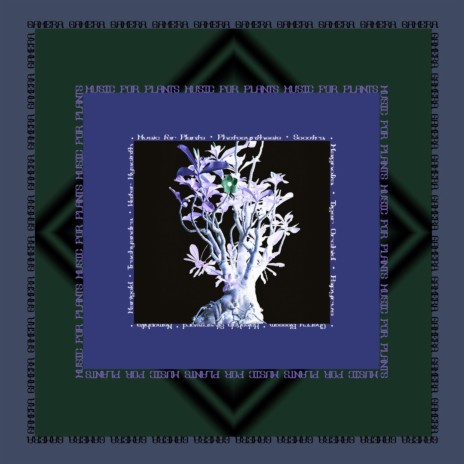 Water Hyacinth | Boomplay Music