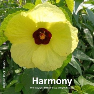 Harmony