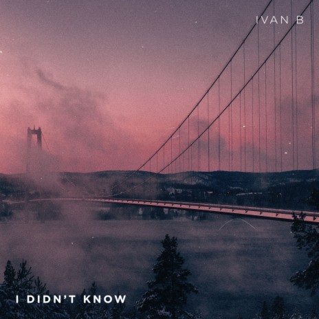 I Didn't Know | Boomplay Music