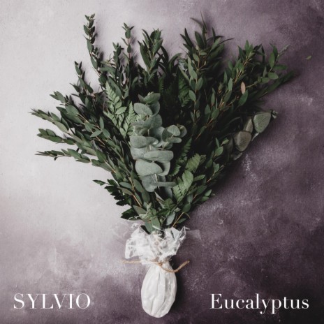 Eucalyptus | Boomplay Music