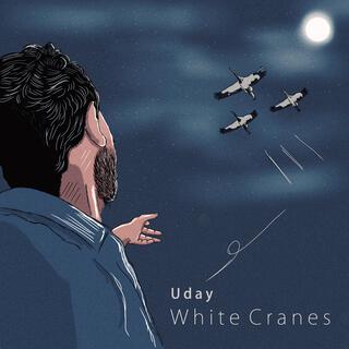 White Cranes