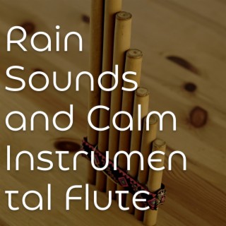 Rain Sounds and Calm Instrumental Flute Background Music for Sleeping