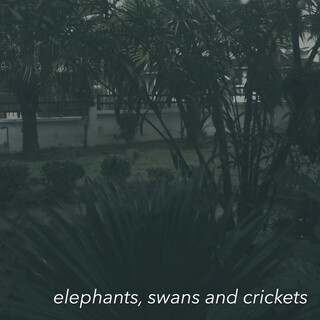 Elephants, Swans and Crickets