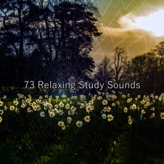 73 Sons d'étude relaxants (2022 This Way Is Diagonal Records)