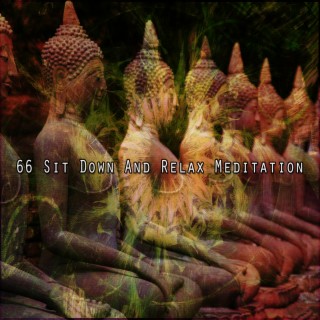 66 Méditation Asseyez-vous et détendez-vous (2022 This Way Is Diagonal Records)