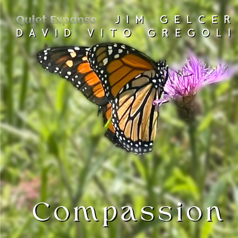 Compassion ft. David Vito Gregoli | Boomplay Music