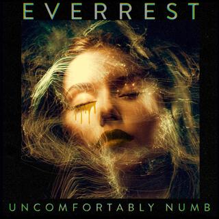 Uncomfortably Numb lyrics | Boomplay Music