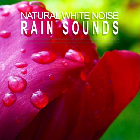 Natural White Noise: Rain Sounds, Pt. 27 | Boomplay Music