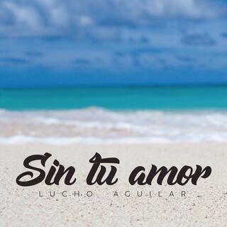 Sin tu amor lyrics | Boomplay Music