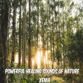 Powerful Healing Sounds Of Nature Xenia