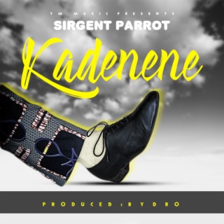 Sirgent Parrot