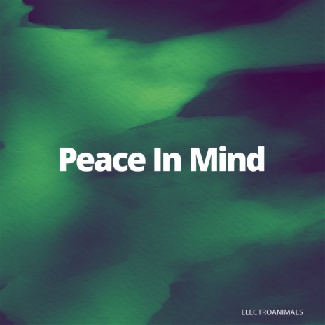 Peace in Mind | Boomplay Music