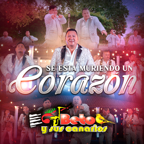 Se Esta Muriendo un Corazon | Boomplay Music