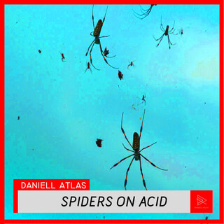 Spiders on Acid