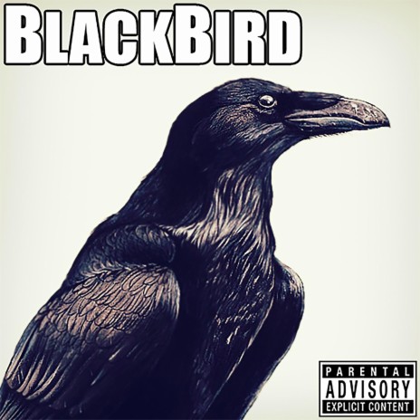 BlackBird | Boomplay Music