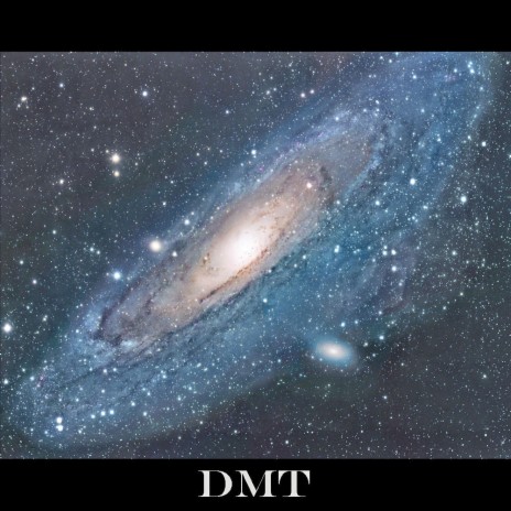 DMT (I Found Love In The Music) | Boomplay Music