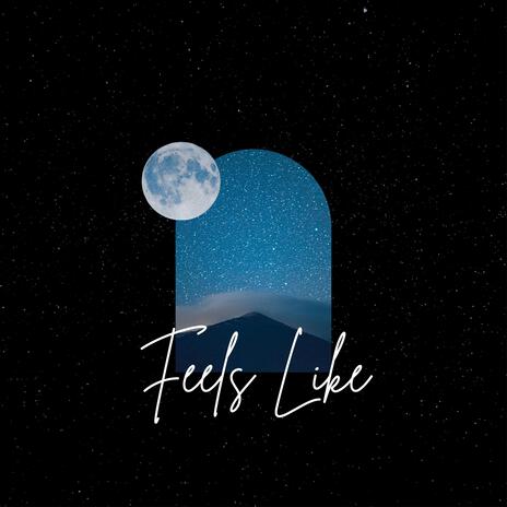 Feels Like | Boomplay Music