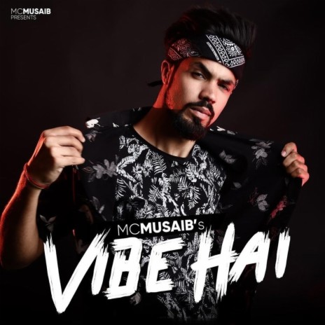 Vibe Hai | Boomplay Music