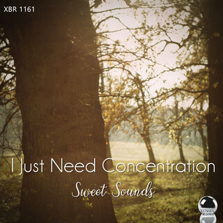 I Just Need Concentration: Sweet Sounds