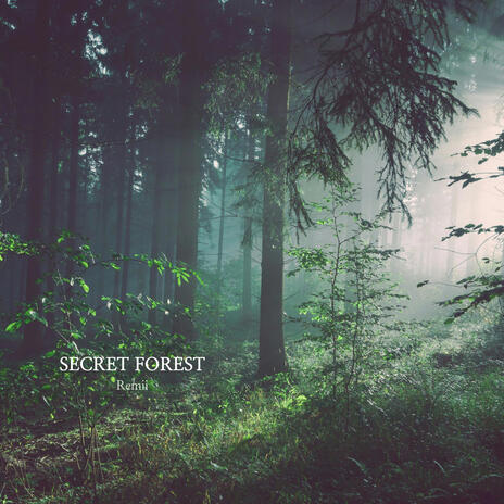 Secret Forest | Boomplay Music