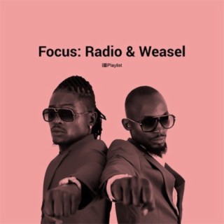 Focus: Radio & Weasel
