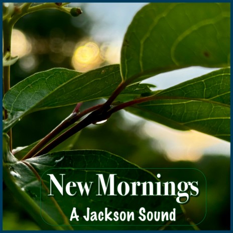 New Mornings | Boomplay Music